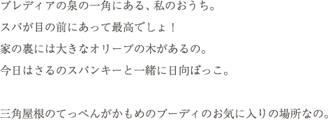 プレディアの泉の一角にある、私のおうち。スパが目の前にあって最高でしょ！家の裏には大きなオリーブの木があるの。今日はさるのスパンキーと一緒に日向ぼっこ。三角屋根のてっぺんがかもめのプーディのお気に入りの場所なの。